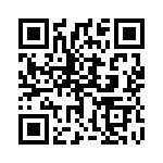 1704982 QRCode