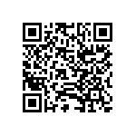 1PMT4122E3-TR13 QRCode