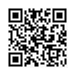 4181-4PG-300 QRCode