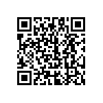 51742-11001200AA QRCode