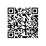 813-SS-010-30-004101 QRCode