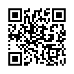 913_166 QRCode