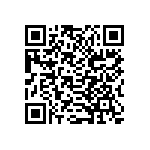 B32529C3333K289 QRCode