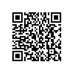 BKT-153-04-L-V-S-P-TR QRCode