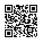 DF3-9P-2V-20 QRCode