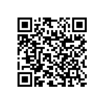 RNC55J1960FSRSL QRCode