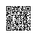 RNCF1206BTE91R0 QRCode