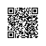 RNCP0805FTD33R2 QRCode