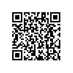 RT1206DRE079K31L QRCode