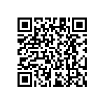 RT1206FRE07113KL QRCode