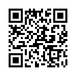 T38127-03-0 QRCode