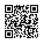 T38520-13-0 QRCode