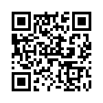 V20E250L2B1 QRCode