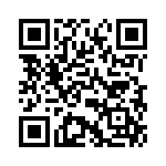 V24C36T100BS3 QRCode