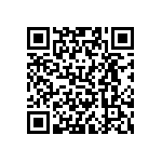 VJ0402D0R9CLBAJ QRCode