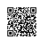 VJ1206A300JBGAT4X QRCode