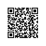 Y162860K4000T9R QRCode