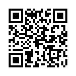 0190390017 QRCode
