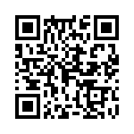 02-0513-10T QRCode