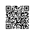 0201BW333K160YT QRCode