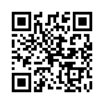 0287002-H QRCode