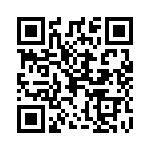 0287025-L QRCode