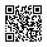 0293040-H QRCode