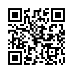 0294100-H QRCode