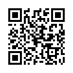 0295060-T QRCode