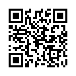 0295120-T QRCode
