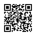 0297100000 QRCode