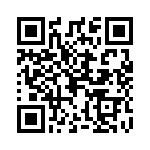 0299025-L QRCode