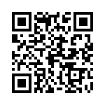 0300690811 QRCode