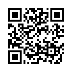 0306ZC153KAT2A QRCode