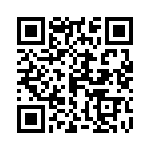 0310213300 QRCode