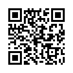 0313-125VXP QRCode