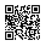 0313-250H QRCode