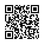 0380090091 QRCode