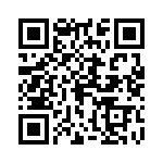 0380090604 QRCode