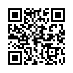 0380090606 QRCode