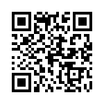 0382210011 QRCode