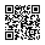 0383311704 QRCode