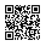 0385400713 QRCode