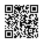 0385411313 QRCode