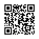 0386101307 QRCode