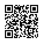 0386313011 QRCode