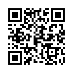 0387001306 QRCode