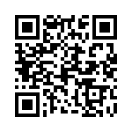 0387207304 QRCode