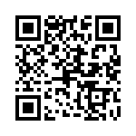 0387207418 QRCode