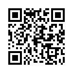 0387290317 QRCode